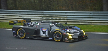 Decal SCG003 #701