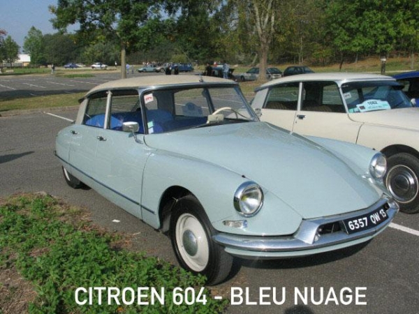 Citroën DS19 Paints  Bleu Nuage 604 60ml